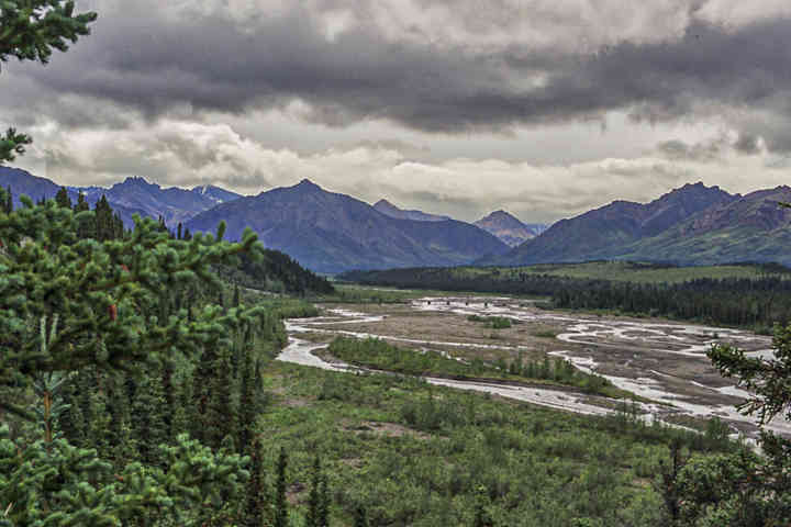 EEUU - Alaska 27 - parque nacional de Denali .jpg